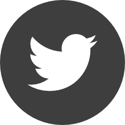 twitter social media
